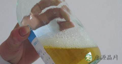消除尿蛋白的方法
