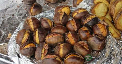 肝火旺能喝夏桑菊吗
