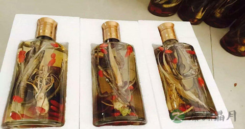 海马酒治宫寒吗