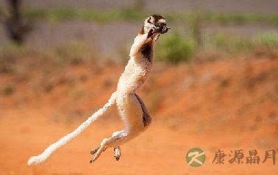 从走路姿势看寿命长短 8种步态的隐患