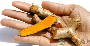 烂姜不烂味 吃烂姜当心吃出肝癌 烂姜不烂味 吃烂姜当心吃出肝癌