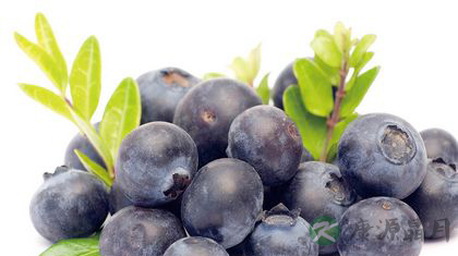 美食减肥:这些食物吃出瘦美人 美食减肥:这些食物吃出瘦美人