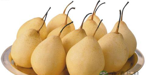 提醒：脾胃虚弱不宜吃的五食物