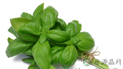 简单又美味的20种男人补肾食物