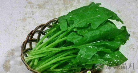 养生警惕 长期素食小心脑出血 养生警惕 长期素食小心脑出血