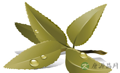 凉茶也是药，要慎喝！