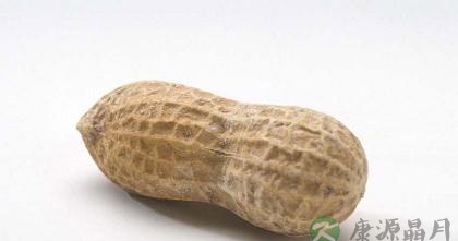 给脾胃不好的人的饮食建议