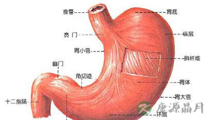 提醒 胃癌常见的五大早期症状