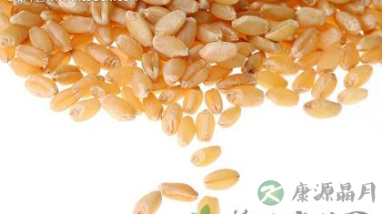 夏季养心防病必不可少的18种食物