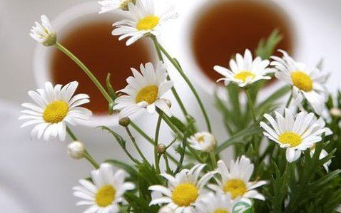 春节暴食 7个护肠胃解油腻的养生方法