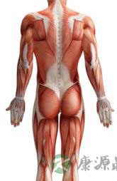 腰背痛的病因分类 腰背痛的病因分类