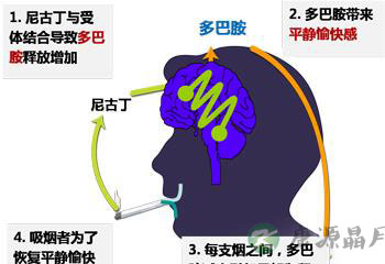 轻松戒烟不难,选对方法是关键 轻松戒烟不难,选对方法是关键