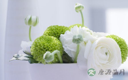 夏季养生警惕“七最怕” 夏季养生警惕“七最怕”