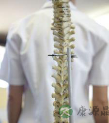 提醒：脊椎不好竟能诱发心脏病