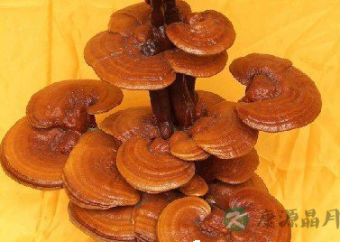 日常注意5个细节保持精力充沛 日常注意5个细节保持精力充沛