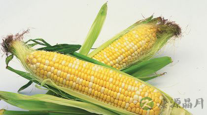 便秘吃什么？14种食物通便润肠效果好