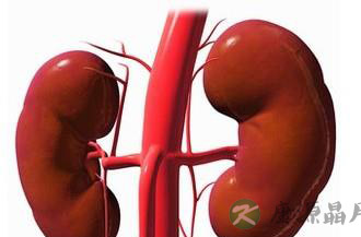 年轻女性警惕肾病来袭 年轻女性警惕肾病来袭