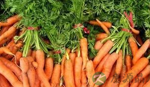 导致男性脱发的原因和治疗方法 导致男性脱发的原因和治疗方法