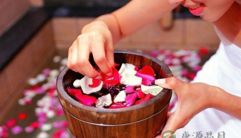 春季养生保健 初春养肝三宝典 春季养生保健 初春养肝三宝典