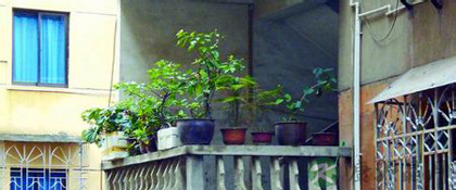 台风天气小心病从脚入