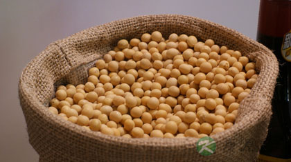 抗癌效果最好的八种蔬菜