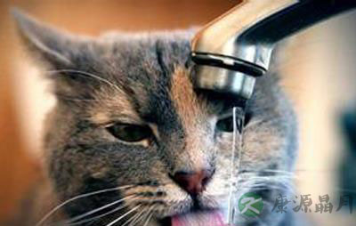 怎样才能让你爱上喝水