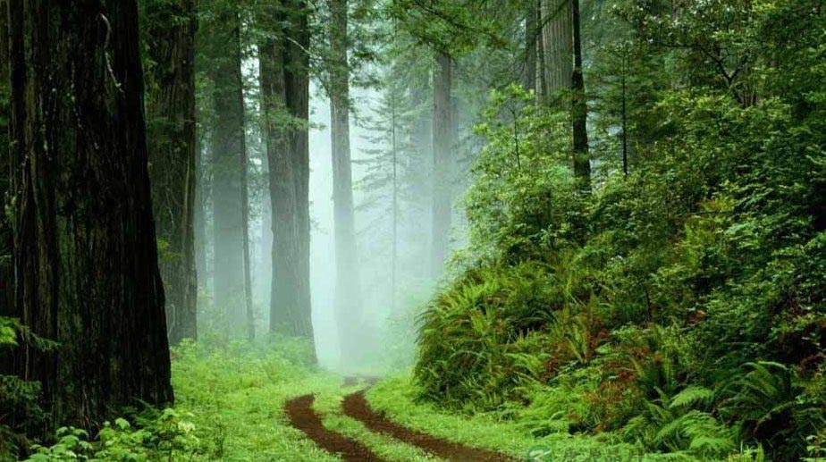 清明养生宜动不宜静