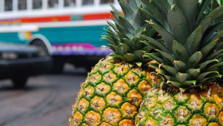 春季时令水果菠萝和笋为什么“毒”