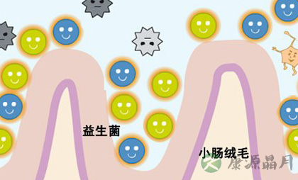 益生菌被夸大其词 常人勿特殊补充