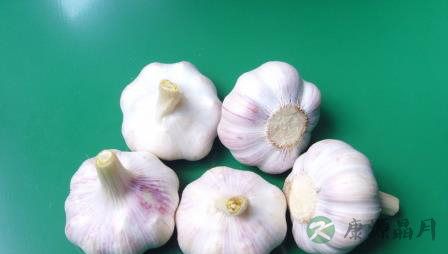 4道大蒜食谱！常吃治病又防癌