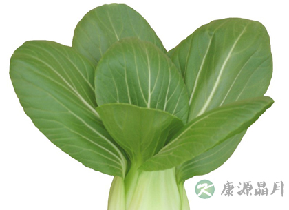 揭秘家常食物中的毒素