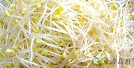 无根豆芽致癌 7种食物堪比砒霜