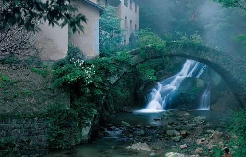 自检 8个健康标准看你是否符合 自检 8个健康标准看你是否符合