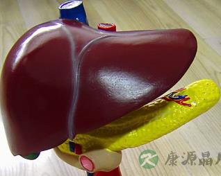 我的小心肝儿：3大神级护肝食物推荐
