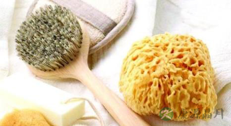 被人们忽略所隐藏真菌的物品 被人们忽略所隐藏真菌的物品