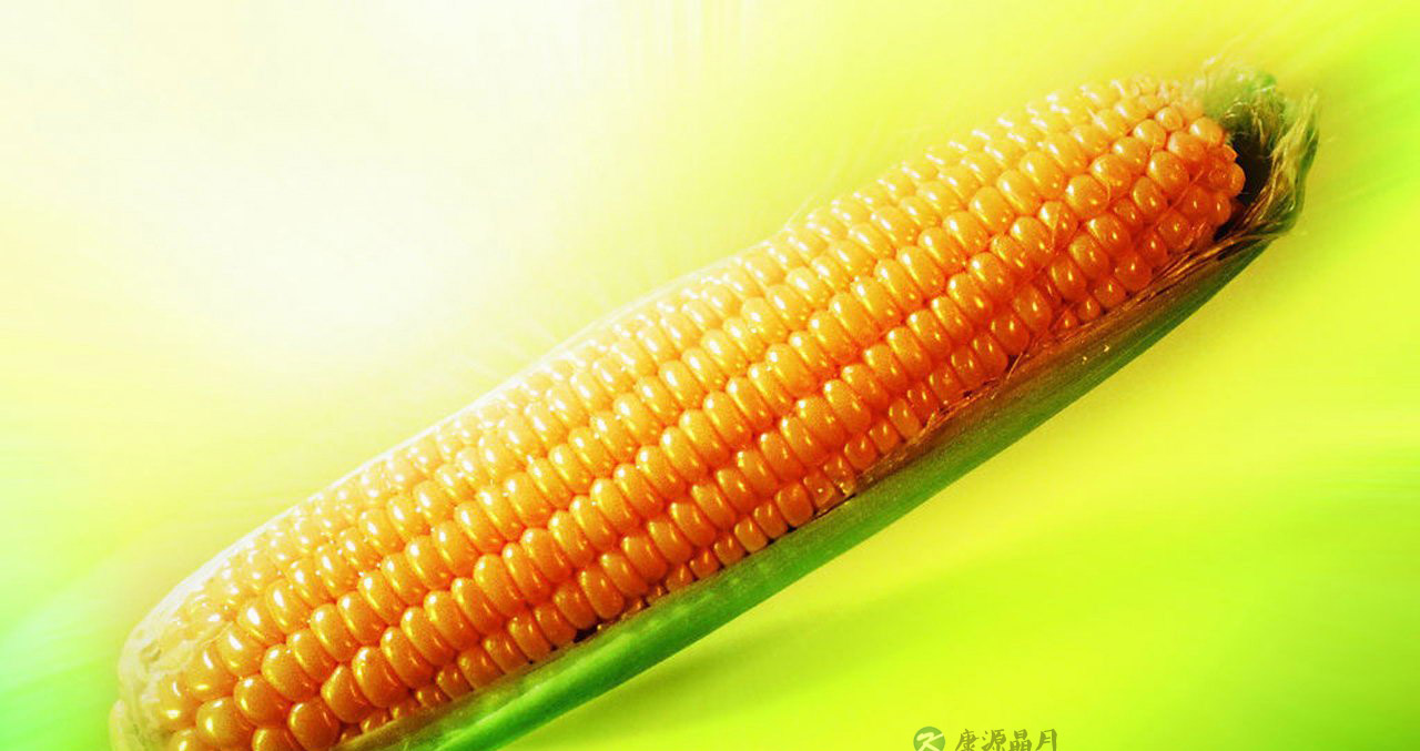 杂粮虽好，不过量为妙