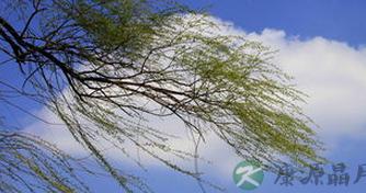 震惊！春风竟可以吹来面瘫