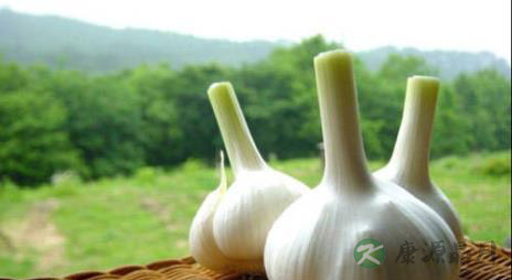 提醒：四类疾病患者忌食大蒜