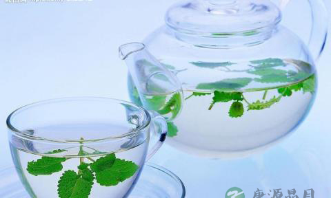 南洋风味肉骨茶做法材料介绍