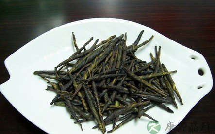苦丁茶的功效与药用价值