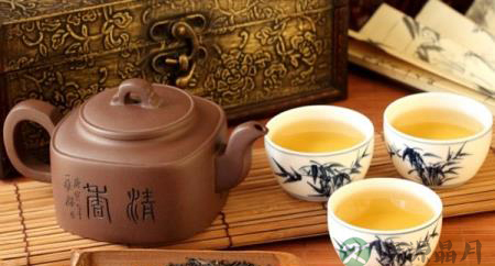 学会闻香识茶