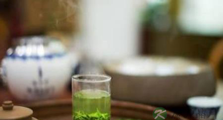 松萝茶是什么茶？有什么功效？