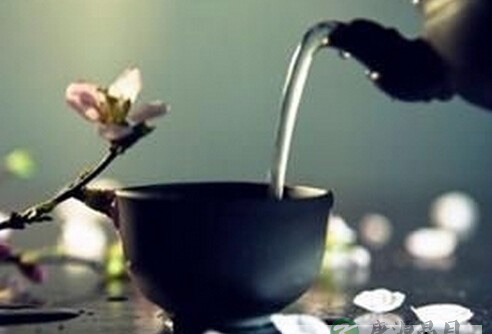茶与胃的较量：什么茶不伤胃？