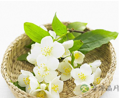 不同花茶养生效果各异