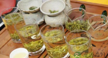 夏天喝这些茶好！