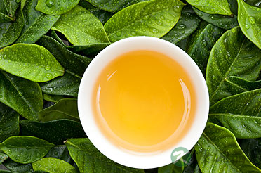 健康的饮料---药王茶