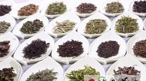 71种茶叶的的不同养生功效