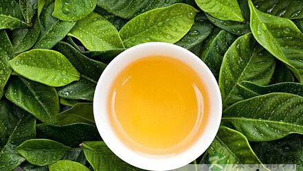 戒烟茶，五种戒烟茶轻松戒烟