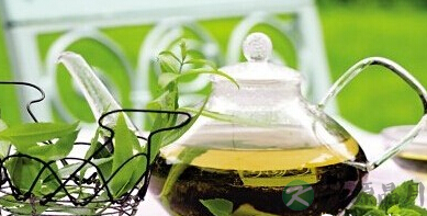 你需要的是什么茶？一起来看看吧！