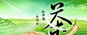 品茶的关键是品出健康